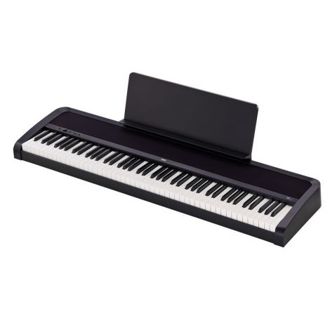 KORG B1 Digital Piano MFB Sound System