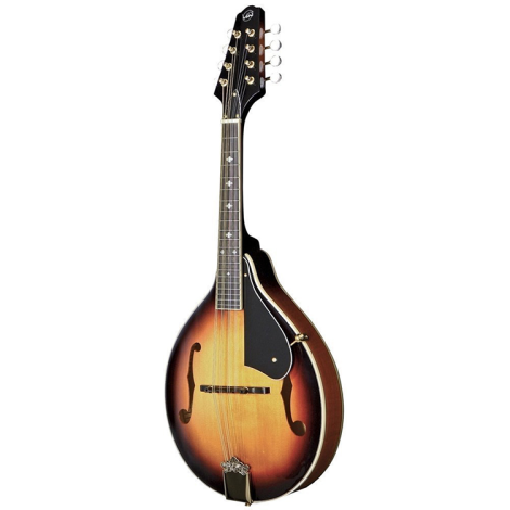 TENNESSEE Mandolin A2 F-Hole with Case