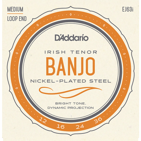 DADDARIO EJ63I 12-36 Irish Banjo 4 Strings Nickel Wound