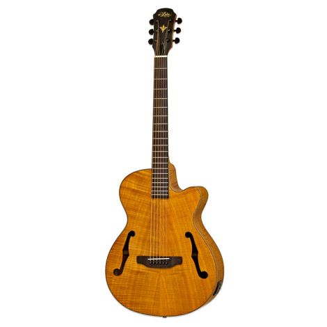 ARIA Elecord Aco-Elec Guitar, Flamed Nato Stained Brown