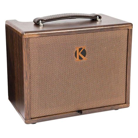 KINSMAN 45W Acoustic Amplifier Ac/Battery Power