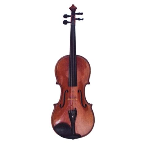 VIENNA WORLD VWP0540 Magnet Violin